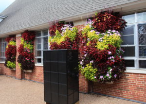 Gorgeous, colorful living wall at a church in Michigan