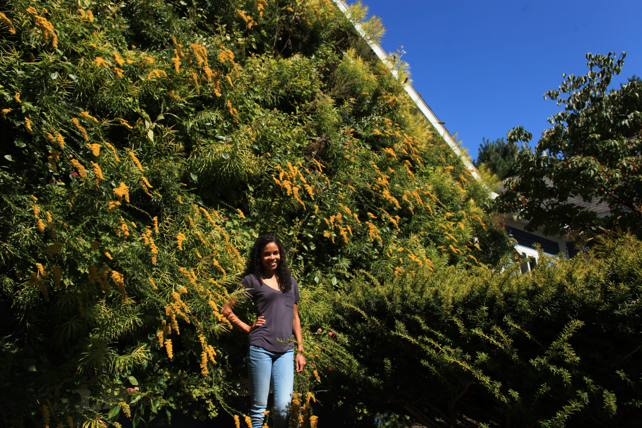 Woman standing in front of a residential living wall