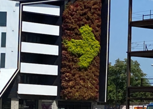 A living wall at Gravity Parking Garage has an arrow built into the design