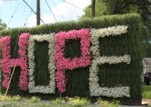 The word HOPE displayed with pink and white annuals.