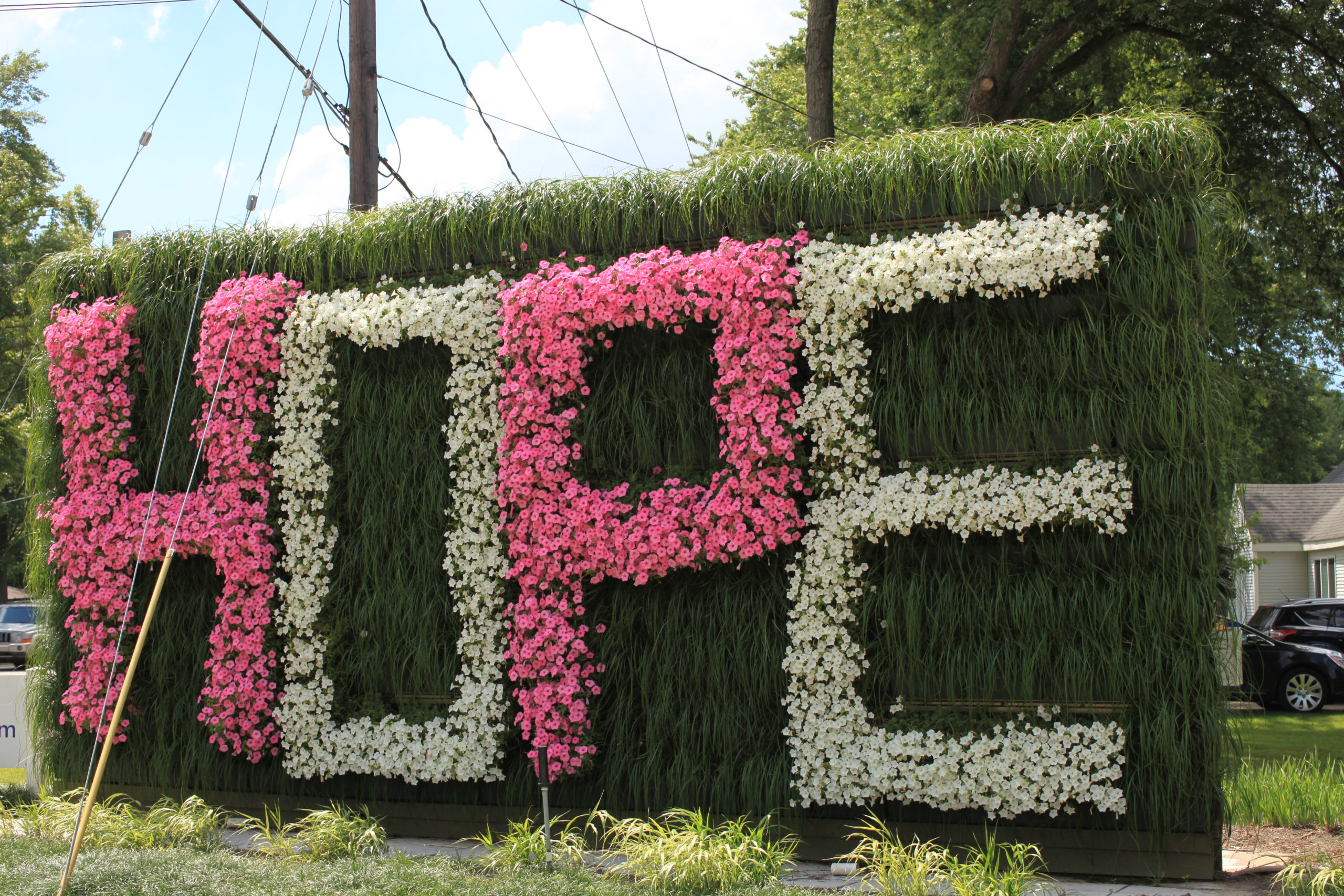 The word HOPE displayed with pink and white annuals.