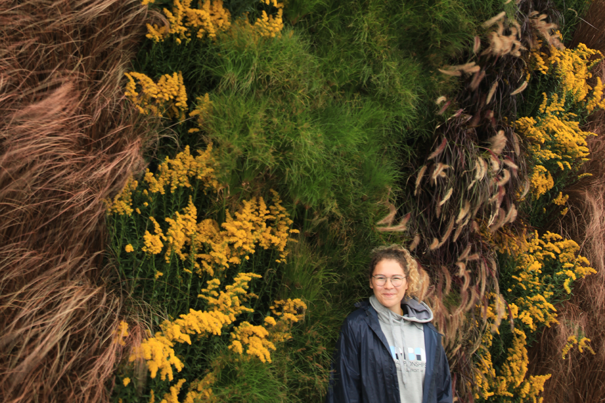 Woman standing in front of a large LiveWall with sedges, papyrus, and goldenrod plants