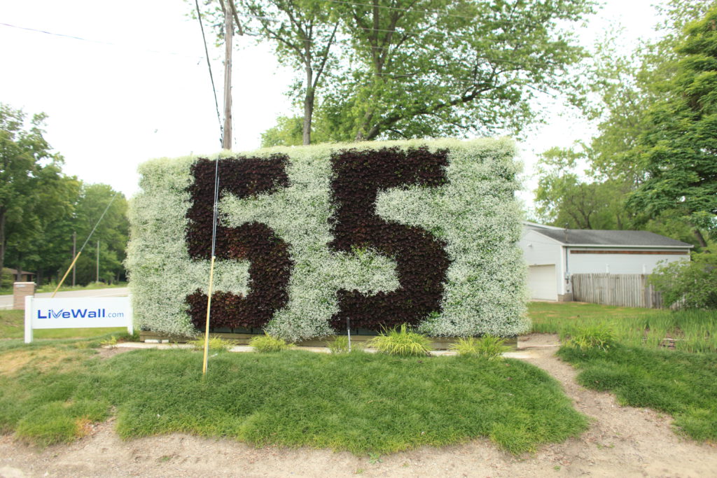 Speed Limit 55