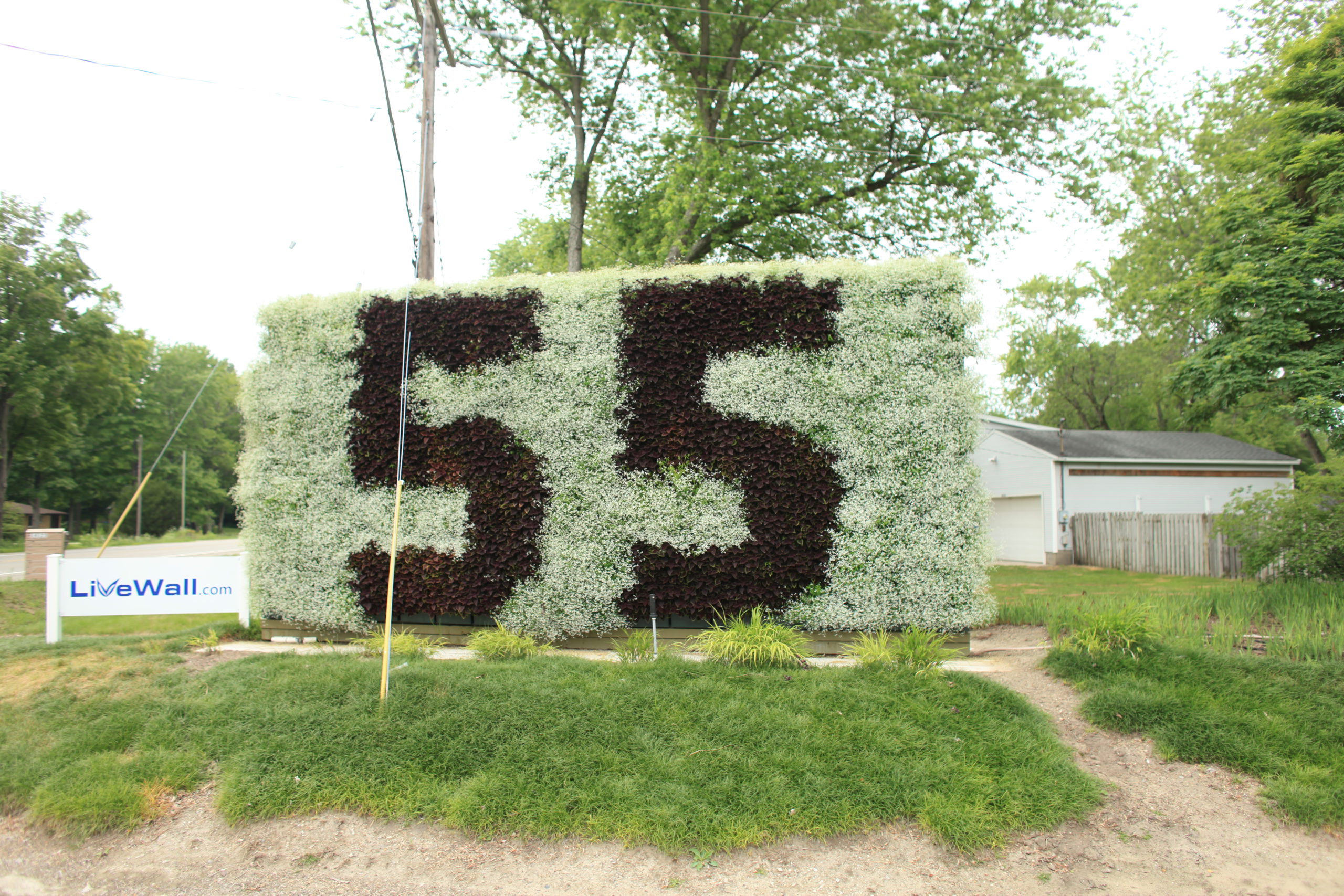 The speed limit of a road represented in a living wall