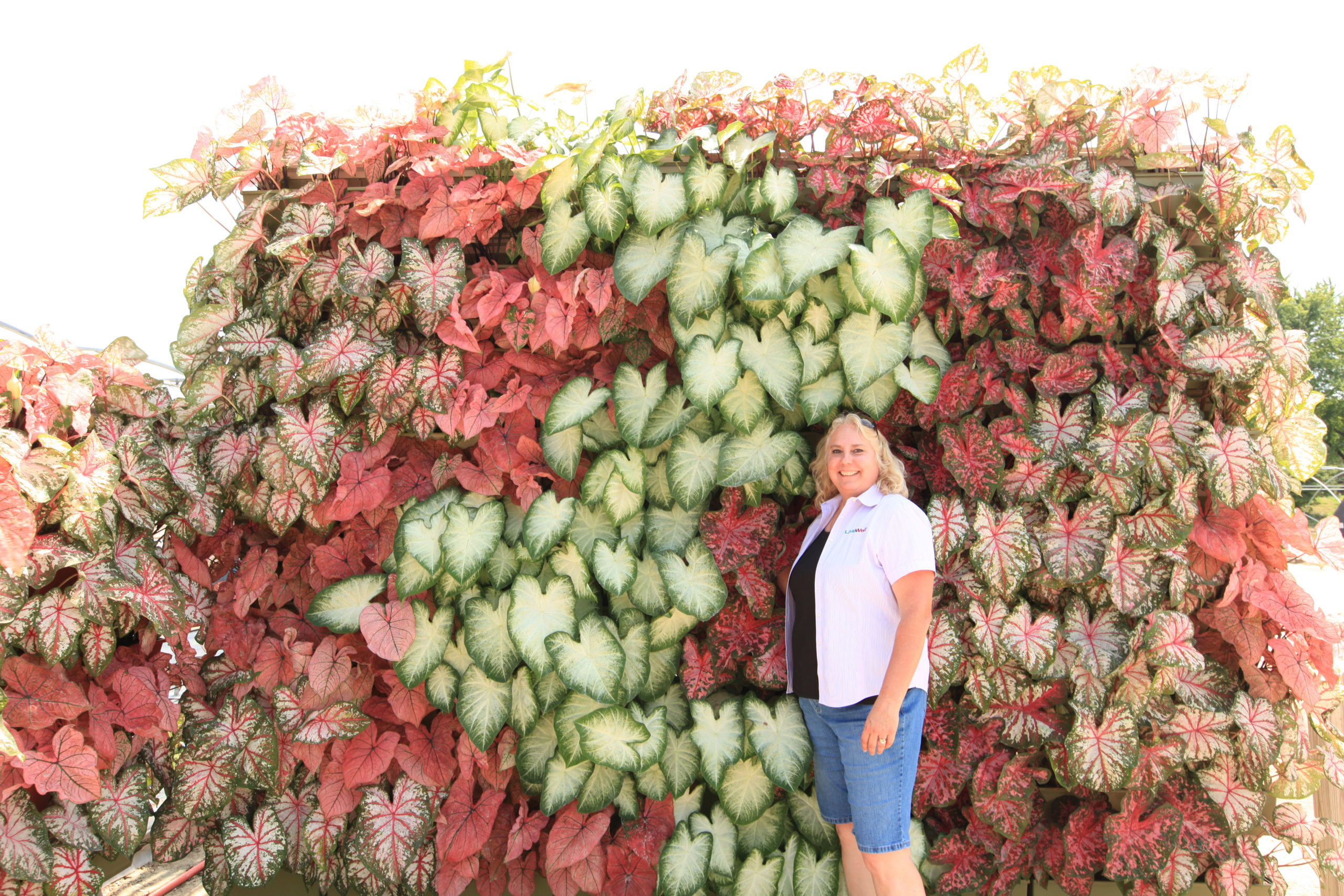 Lori May posing in front of a beautiful LiveWall with caladiums