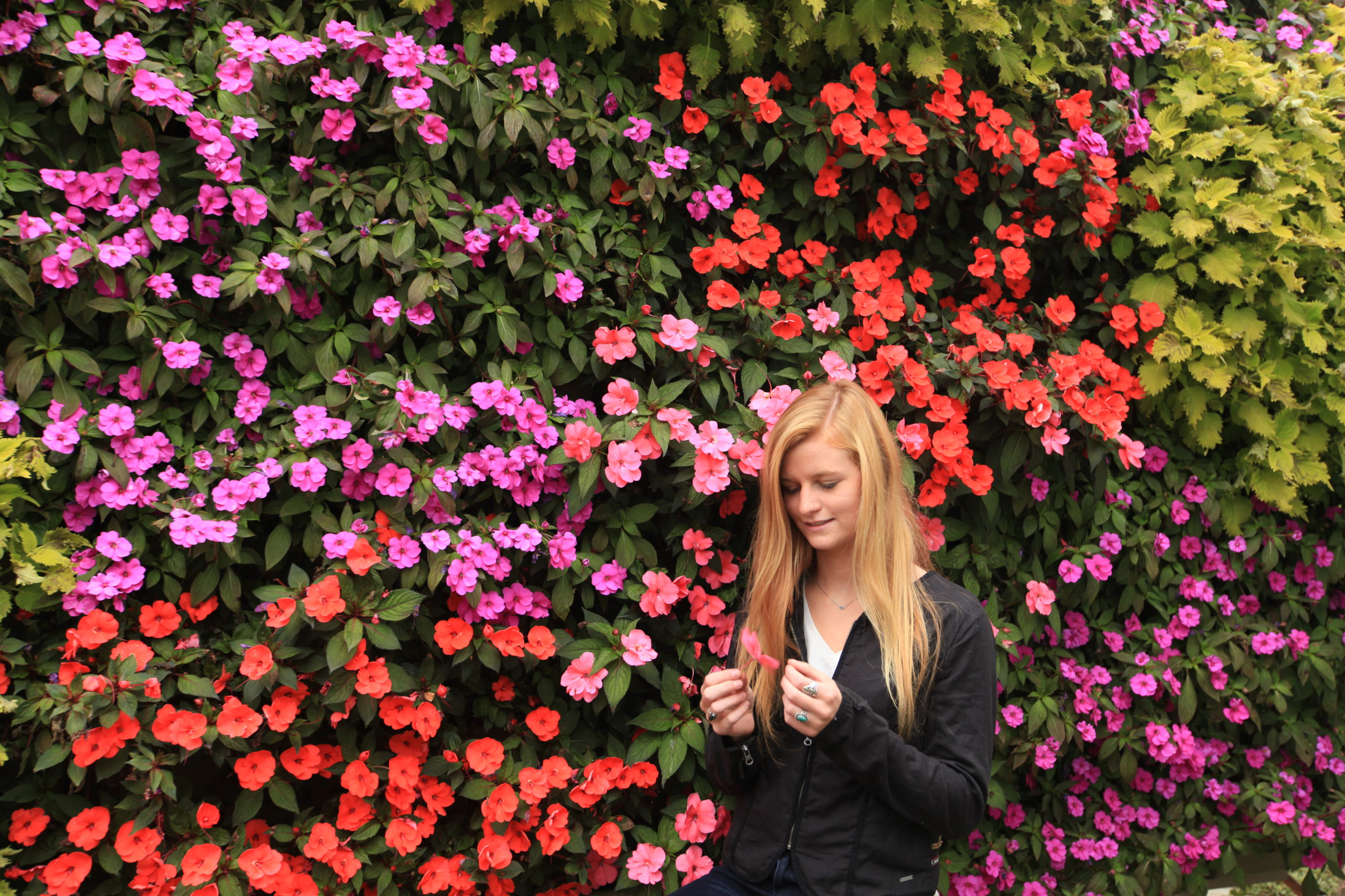 Woman standing in front of a very colorful living wall