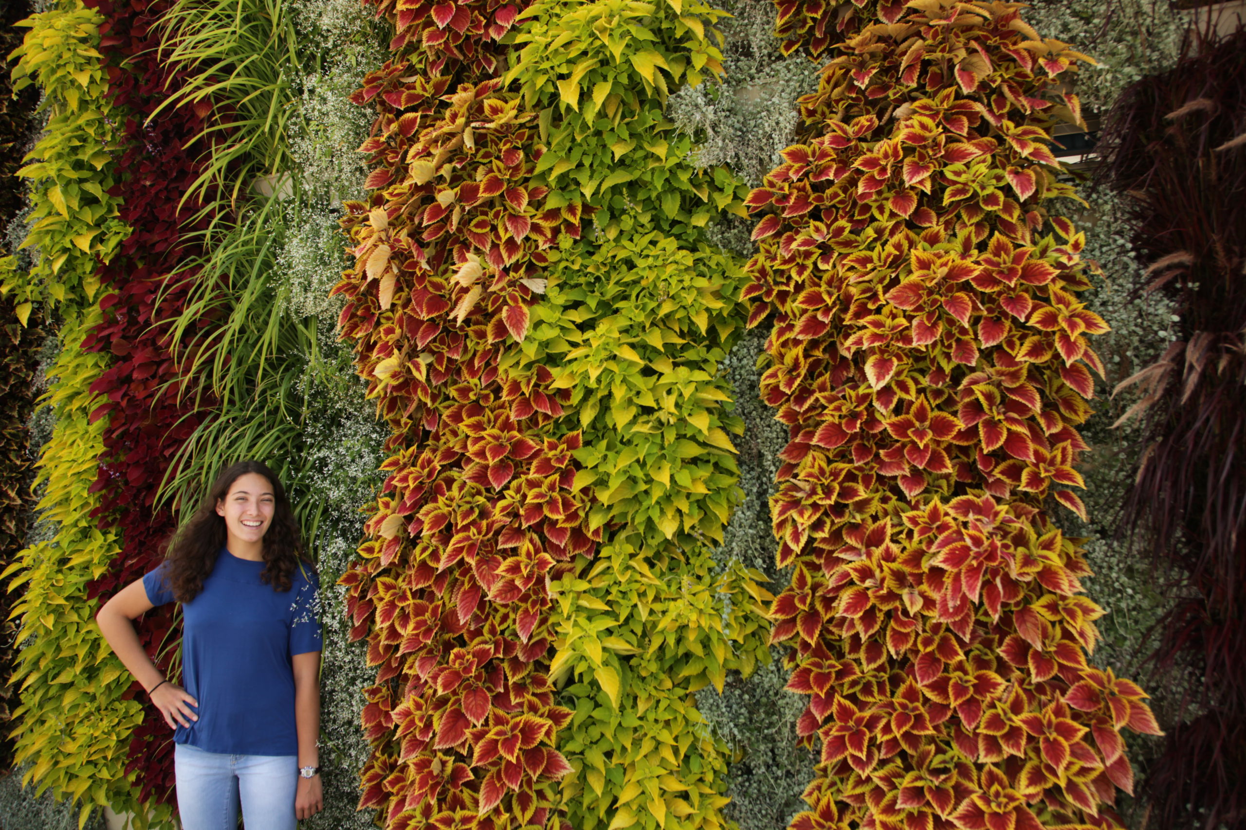 Woman posing next to a very large living wall with colorful vertical stripes in the design