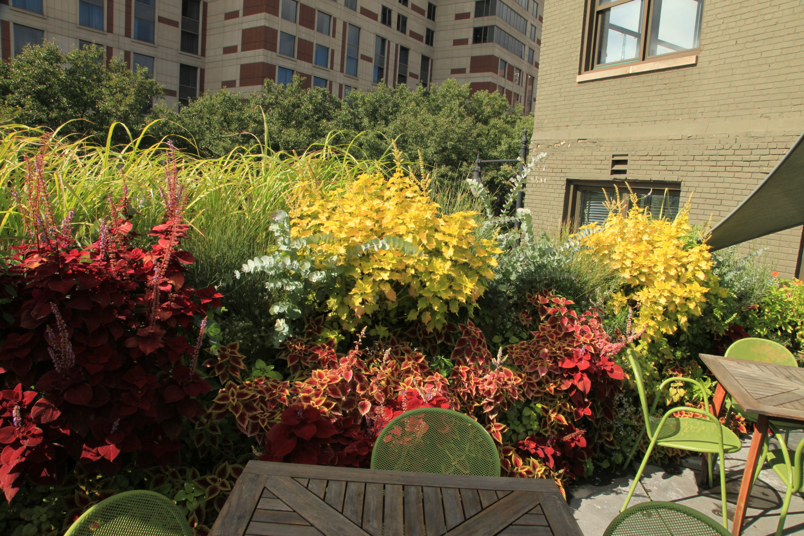 Colorful mix of plants in the LiveWall at the old B.O.B.'s restaurant patio