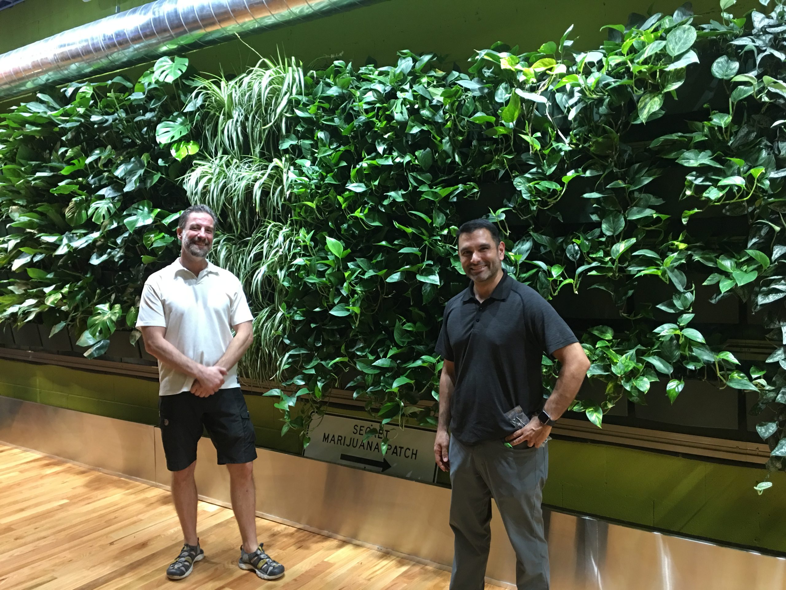 Two men stand in front of the LiveWall at Mission Dispensaries in Ann Arbor