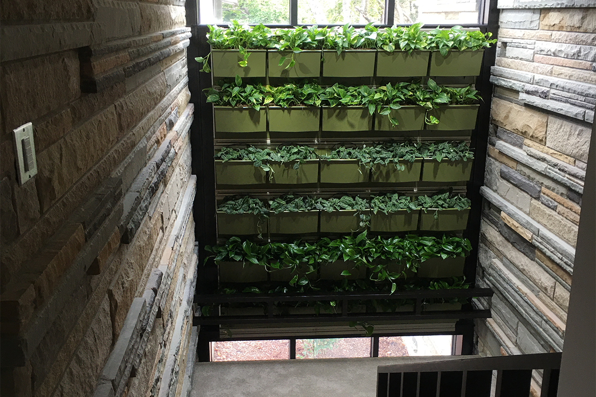 Green living wall inside an apartment complex's stairwell