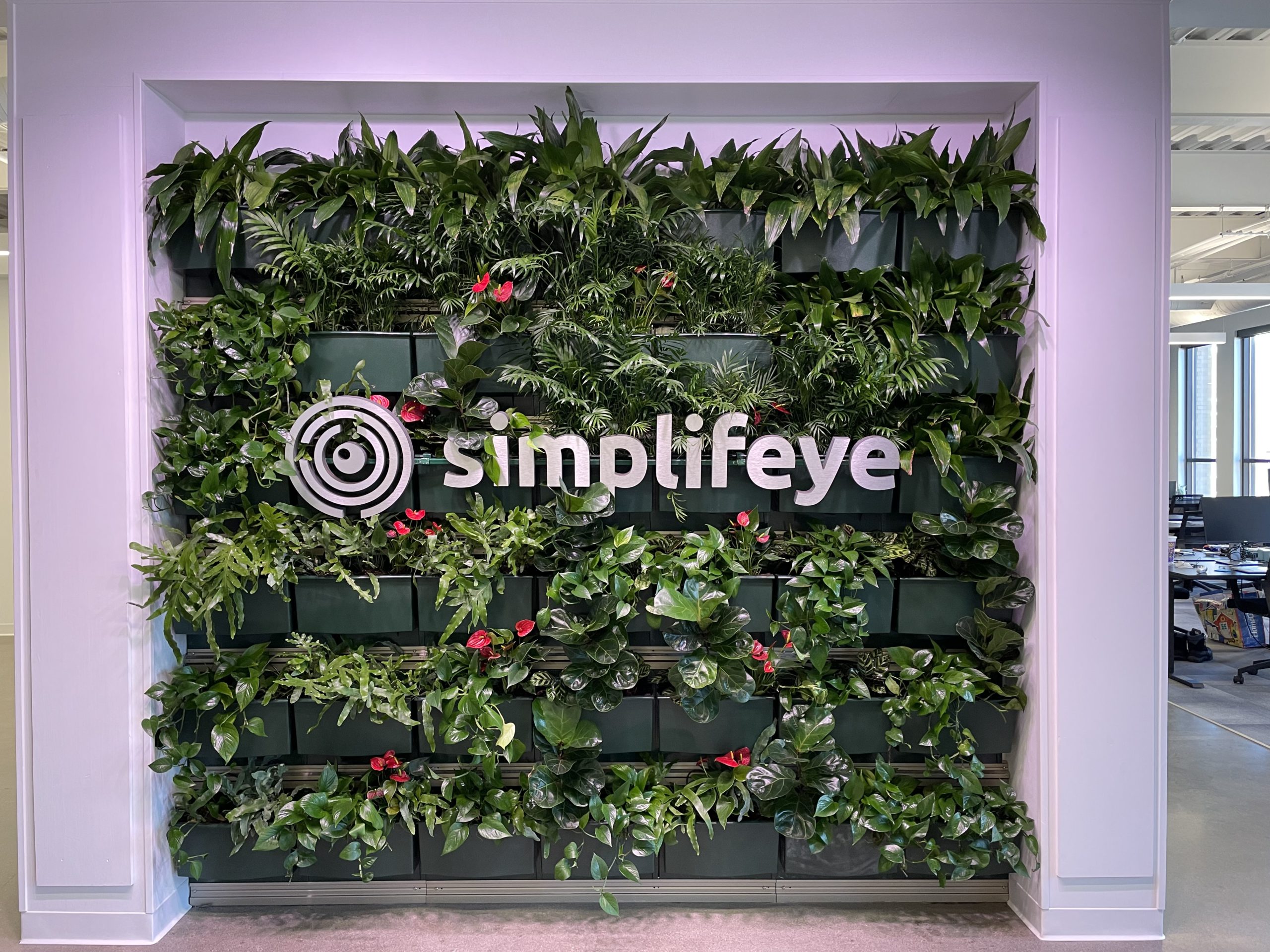 The logo and text of Simplifeye nestled in the center of a lush living wall