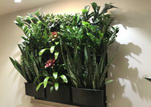 Lush, tropical plants rising from a small residential LiveWall