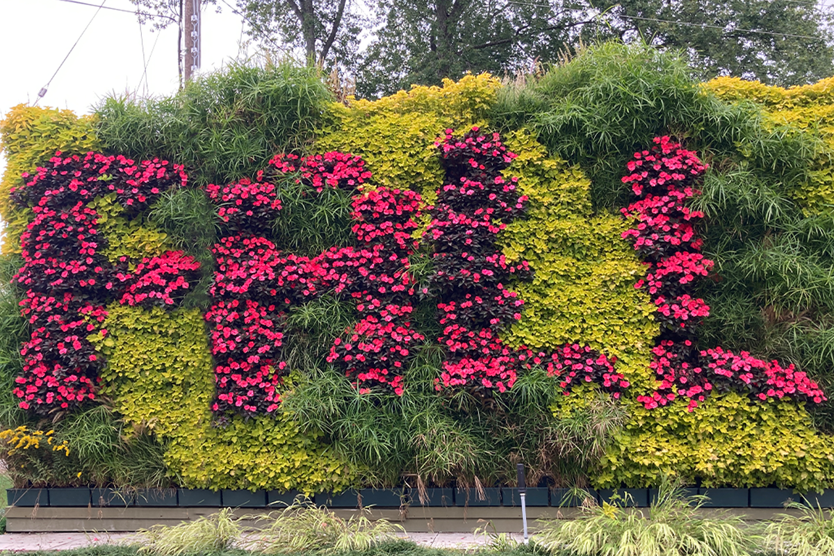 Frequently asked questions about designing green walls with the LiveWall system.
