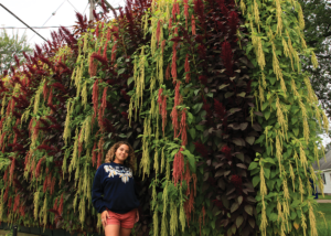 Woman standing next to a tall living wall with dangling amaranthus