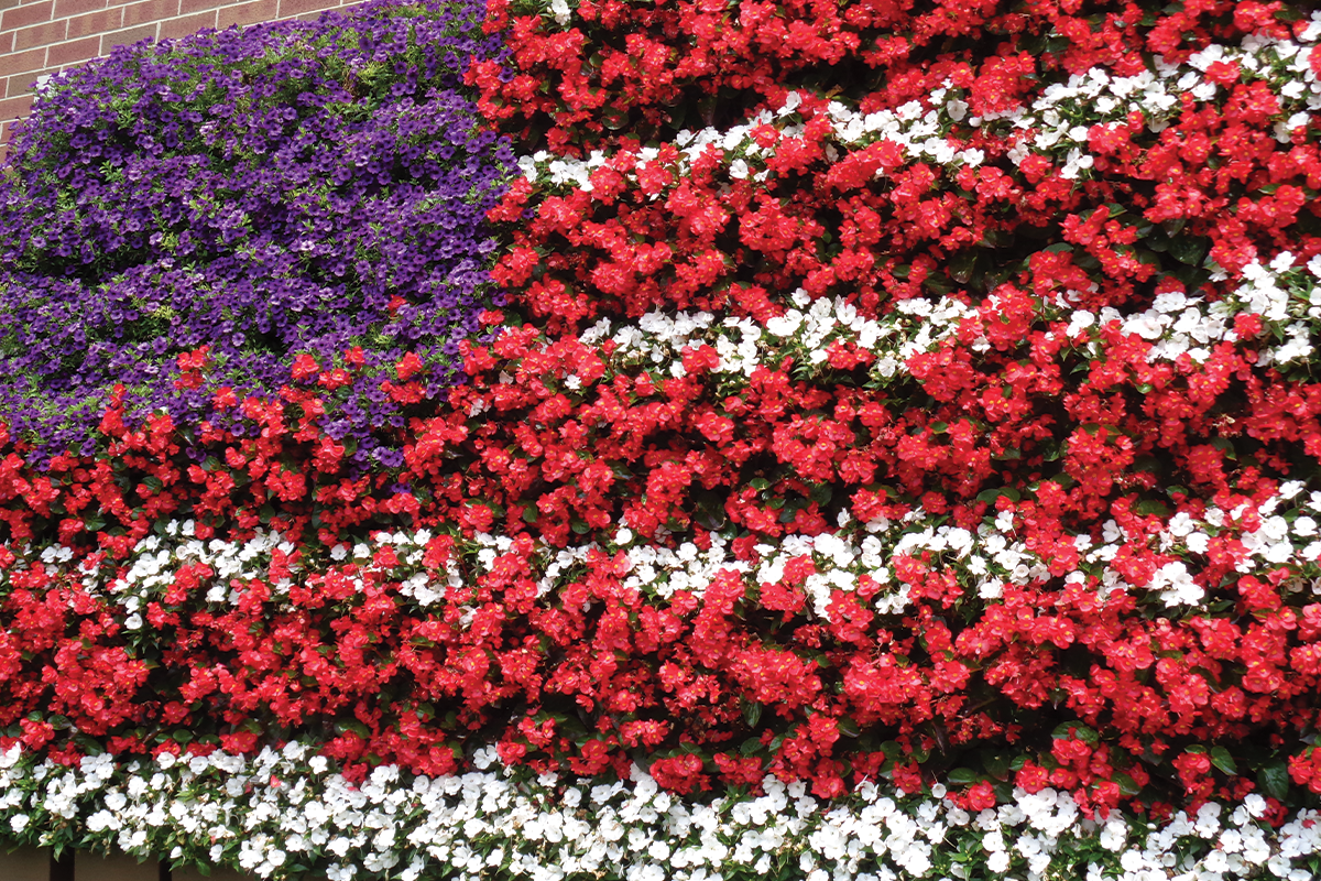 Central Substation's American flag designed living wall