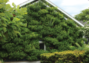 A lush living wall on a garage filled with green perennials