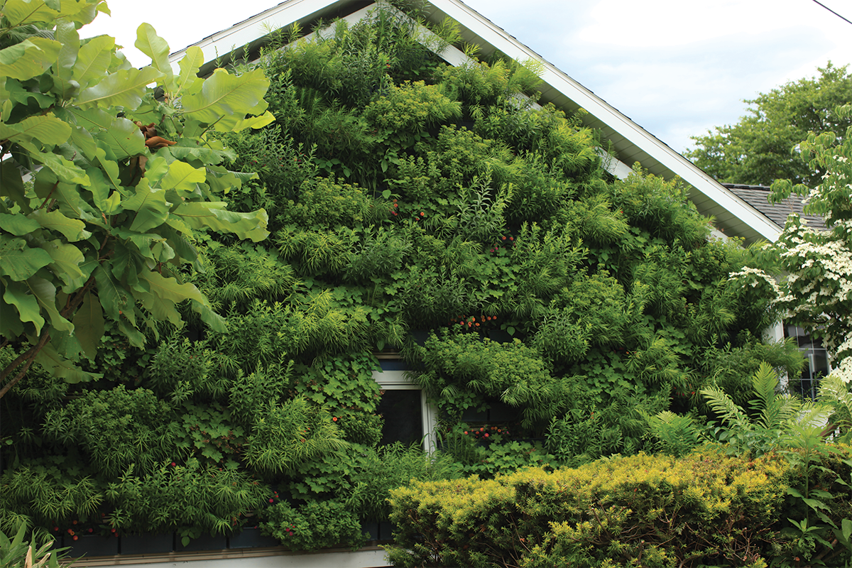 A lush living wall on a garage filled with green perennials