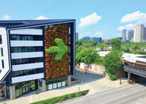 Gravity's enormous living wall signage in full bloom
