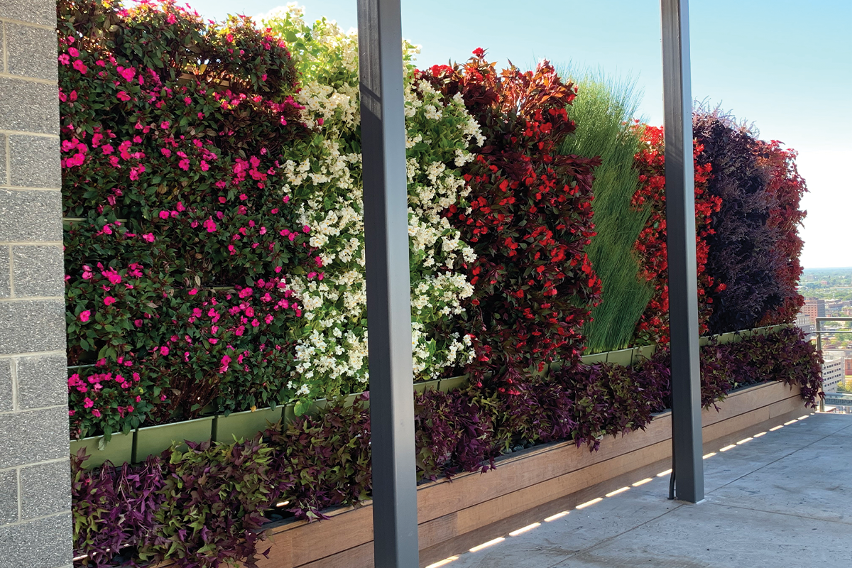 Colorful living wall on Huntington Place's roof top