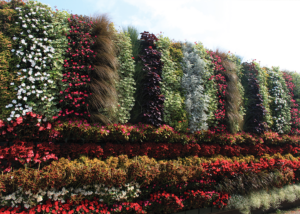 A tall living wall with colorful annuals sits behind a horizontal, long living wall