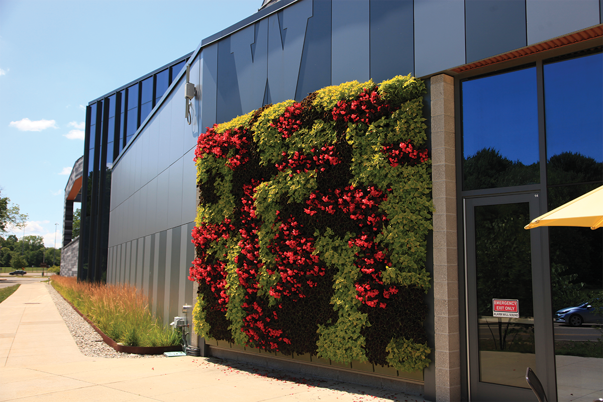 Bright red and green living wall at WMU