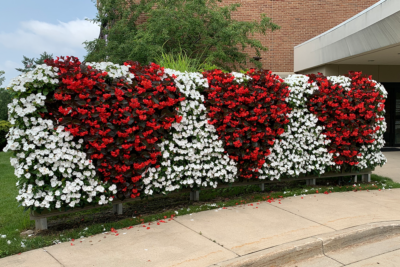 A living wall with a heart pattern outside West Michigan Heart cardiology