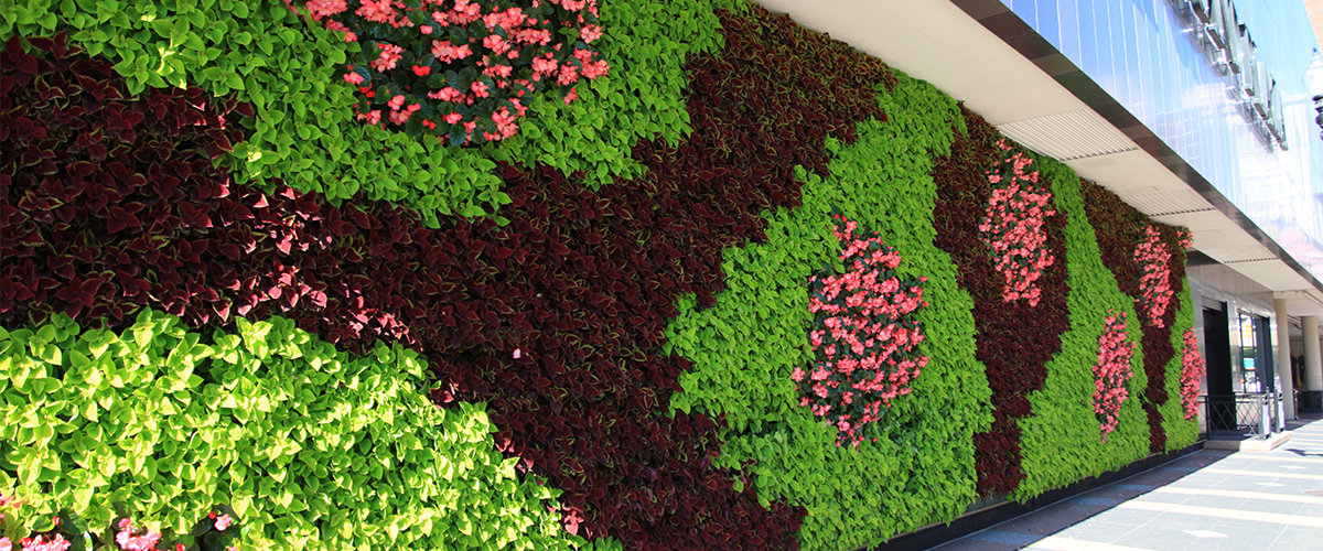 LiveWall provides outdoor green wall systems for virtually any climate.