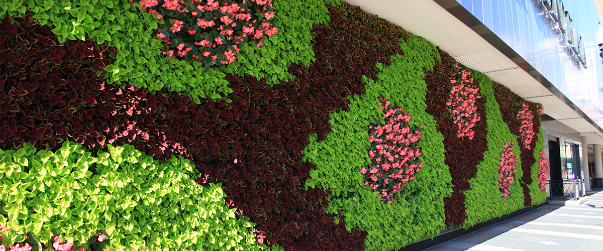 green wall system