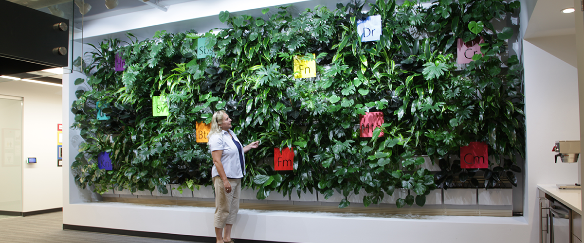 Corporate office with indoor living wall improves workplace.