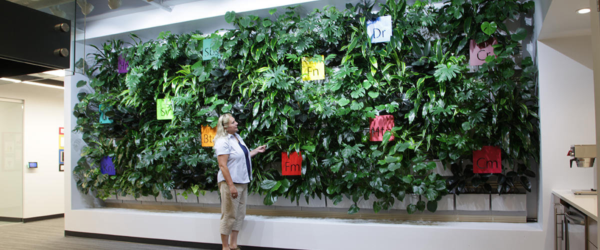 indoor living herb wall