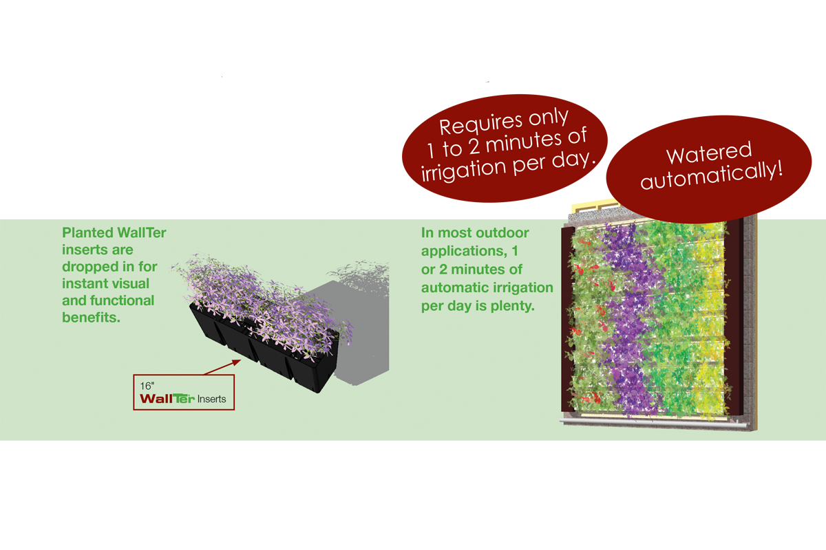 Graphical representation of installing LiveWall plants