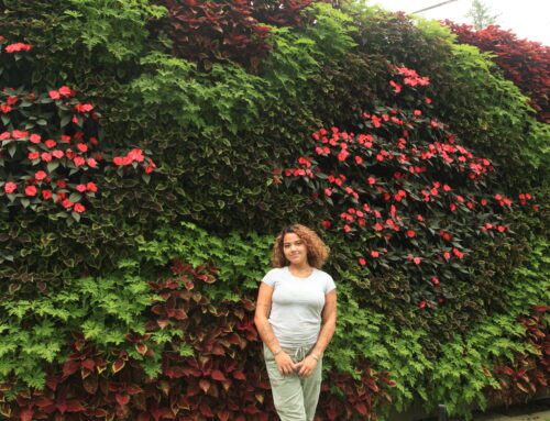 Outdoor Diamond LiveWall with Stunning Colorful Annuals