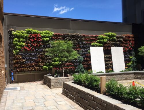 LiveWall Outdoor “The Courtyard Project”