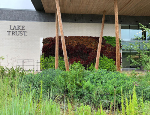 Outdoor Living Wall at Lake Trust Credit Union Headquarters