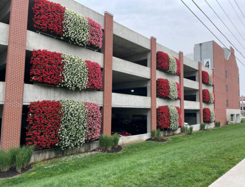 LiveWall Planters on Switch Parking Garage – Decorative in All Seasons