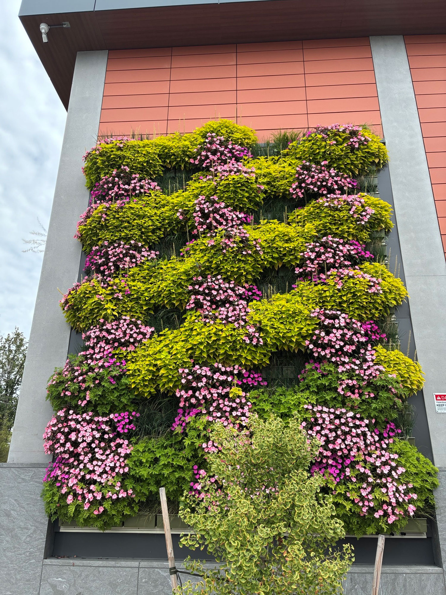 mystic-east-eagle-west-wall-1-plants